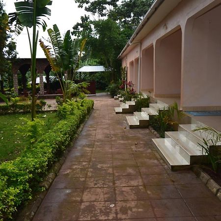 Marangu Serene Mountain Lodge المظهر الخارجي الصورة