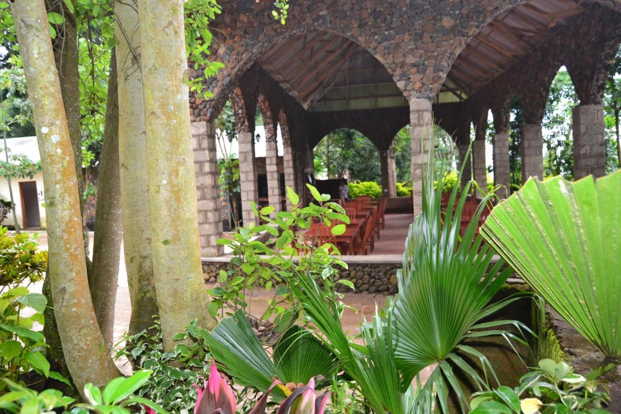 Marangu Serene Mountain Lodge المظهر الخارجي الصورة